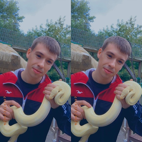 Meet your Posher, Noah - Picture 4 of 6